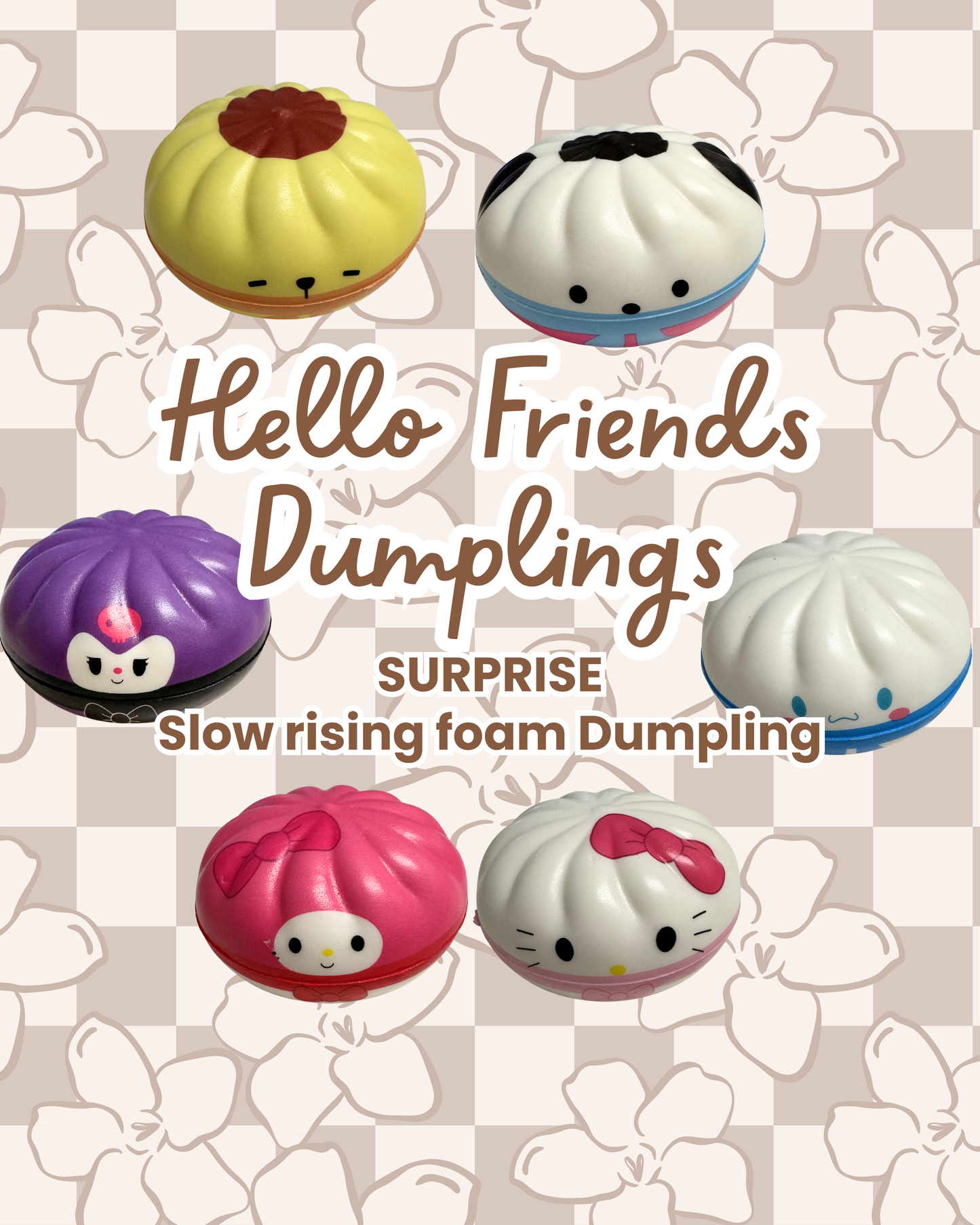 Hello Friends SURPRISE Dumplings